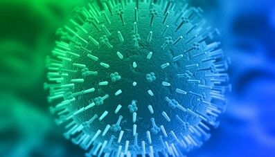 Vie di infezione da papillomavirus umano