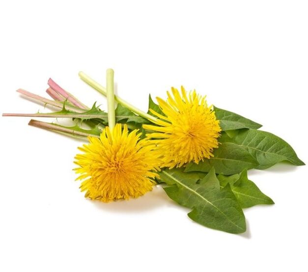Denti di leone per cauterizzazione dei papillomi