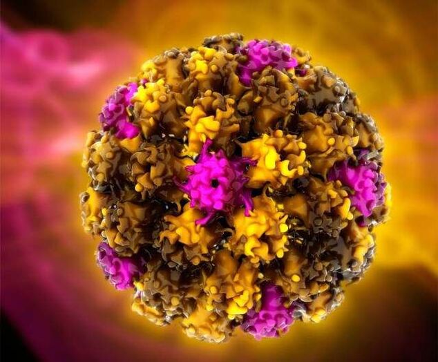 Virus del papilloma umano